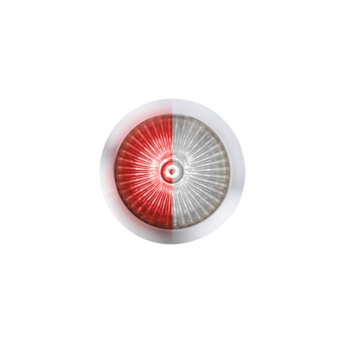 Double Fury 4 LED Dual Function 1-1/8" Spike Light-Red & White LED