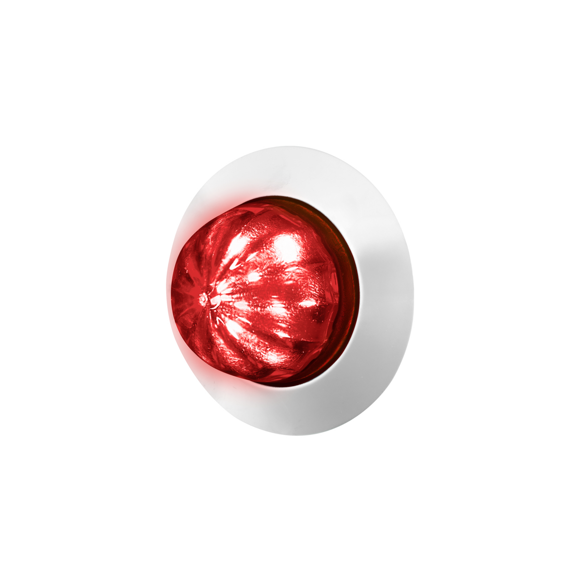 6 LED Dual Function 1-1/4" Watermelon Light W/ Stainless Steel Bezel(Clearance/Marker)-Red LED/Red L