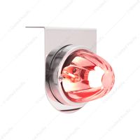Dual Function Glass Watermelon Light With Stainless Steel Light Bracket Kit With LED Bulb-Red LED/Cl
