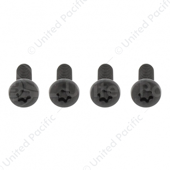 Freightliner Century Black Grille Screw Set