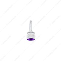 Dash Screw With Purple Crystal For 2008-2017 Freightliner Cascadia