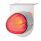 Stainless Light Bracket With 9 LED Dual Function Watermelon GloLight - Red LED/Clear Lens
