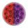 Double Fury 19 LED 4" Round Stop/Turn/Tail Light-Red & Purple LED/Clear Lens