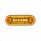22 LED 6" Oval Abyss Light (Turn Signal) - Amber LED/Clear Lens