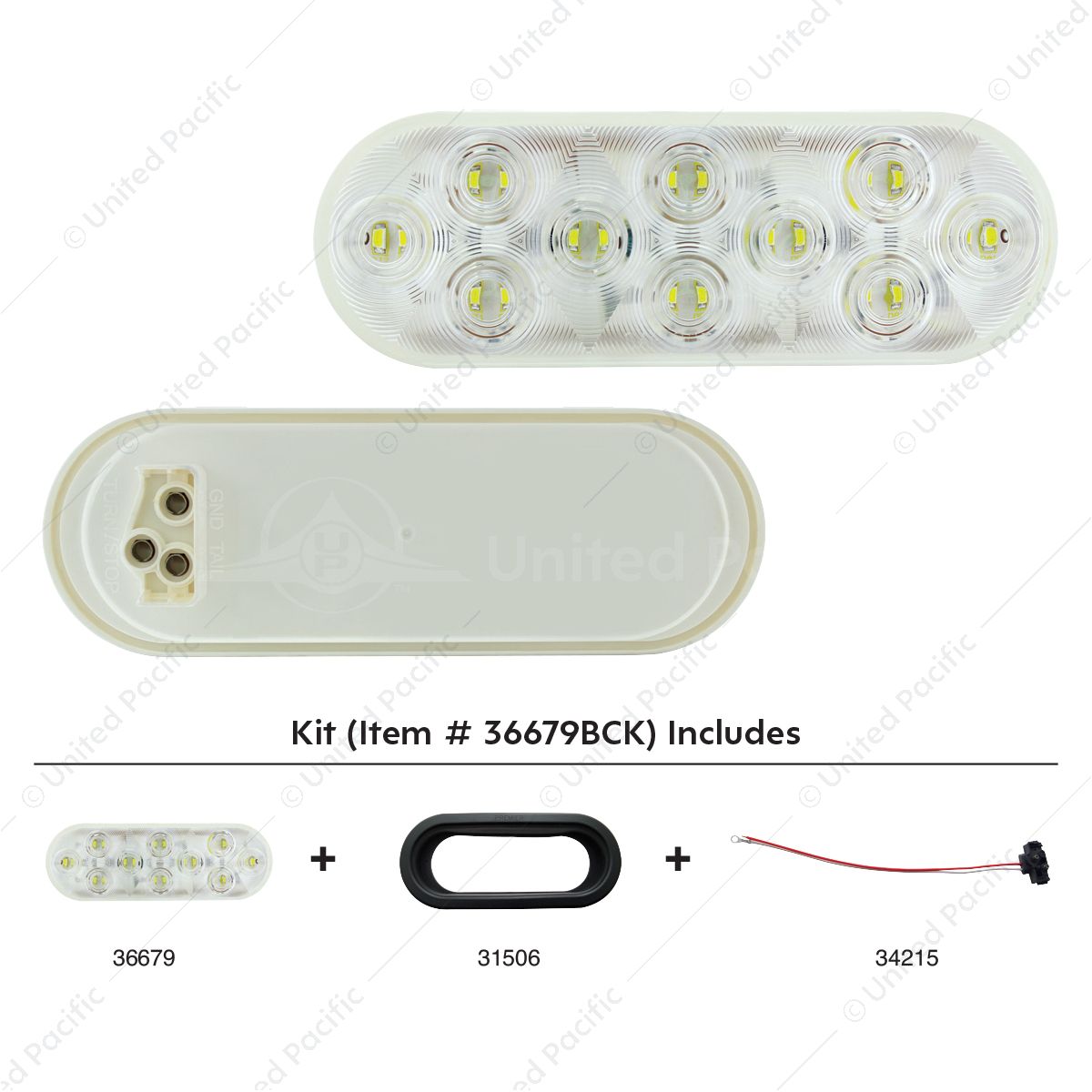 20 LED 6" Oval Back-Up Light Kit - Competition Series