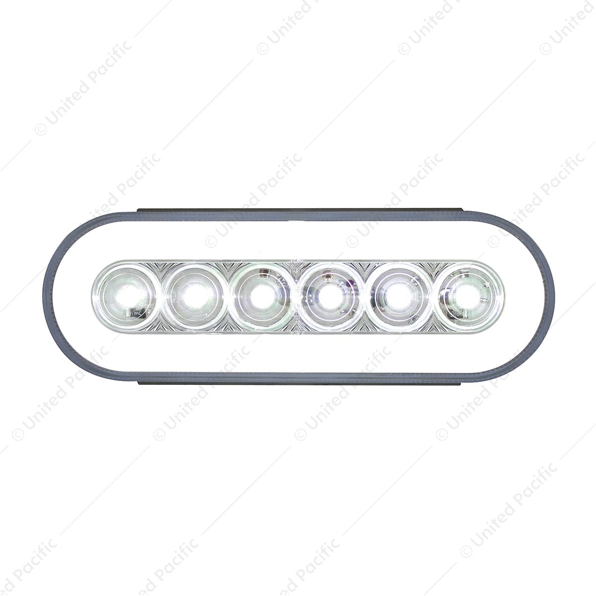 22 LED 6" Oval GloLight (Back-Up)