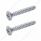 Kenworth Dome/Map Light Cover Mounting Screw (Card of 2)