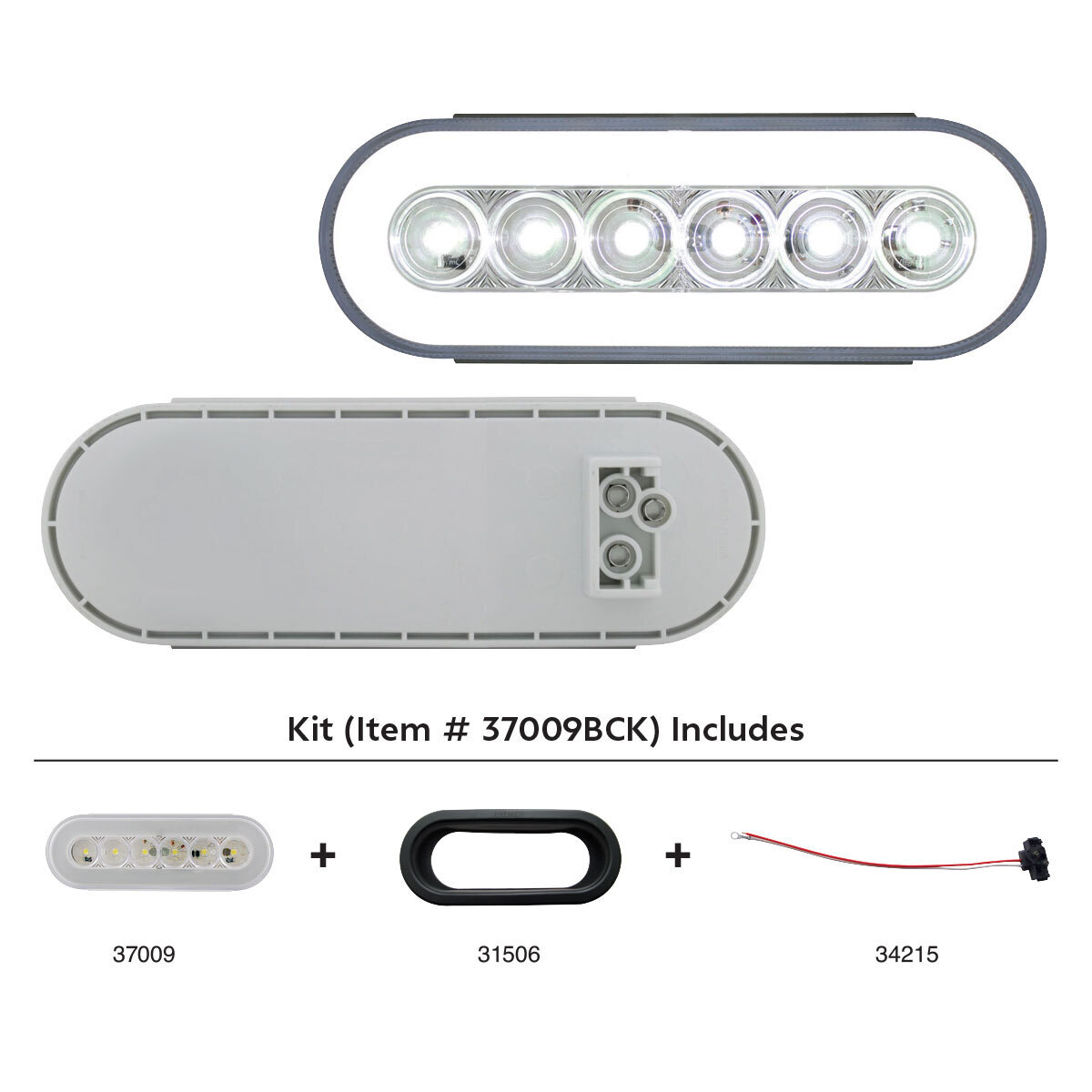 22 LED 6" Oval GloLight Kit (Back-Up)