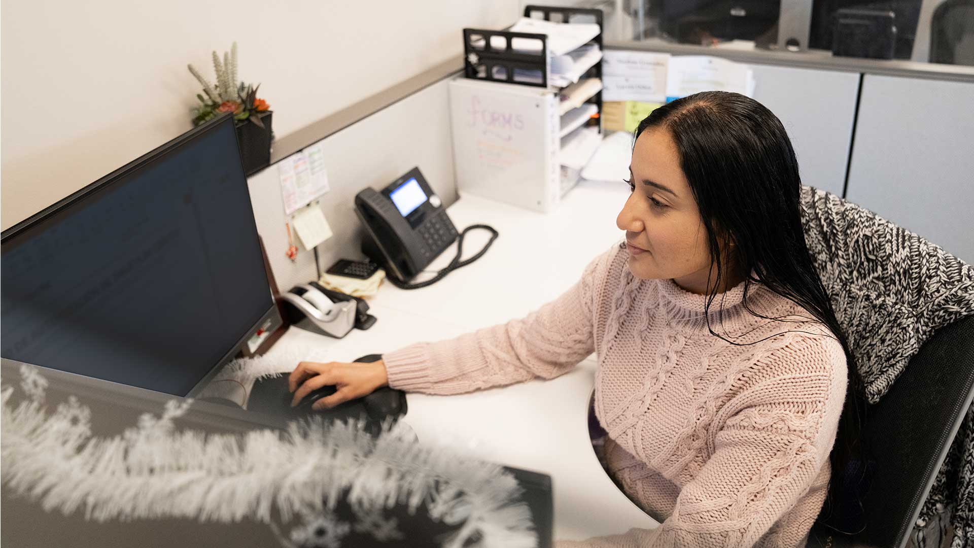 UPI - Customer Service